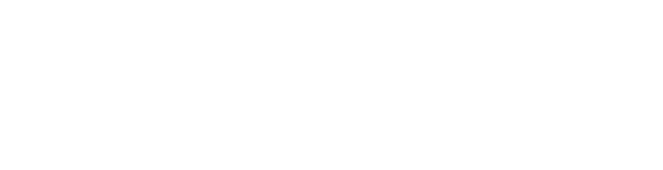 洞见必行 Morpho X